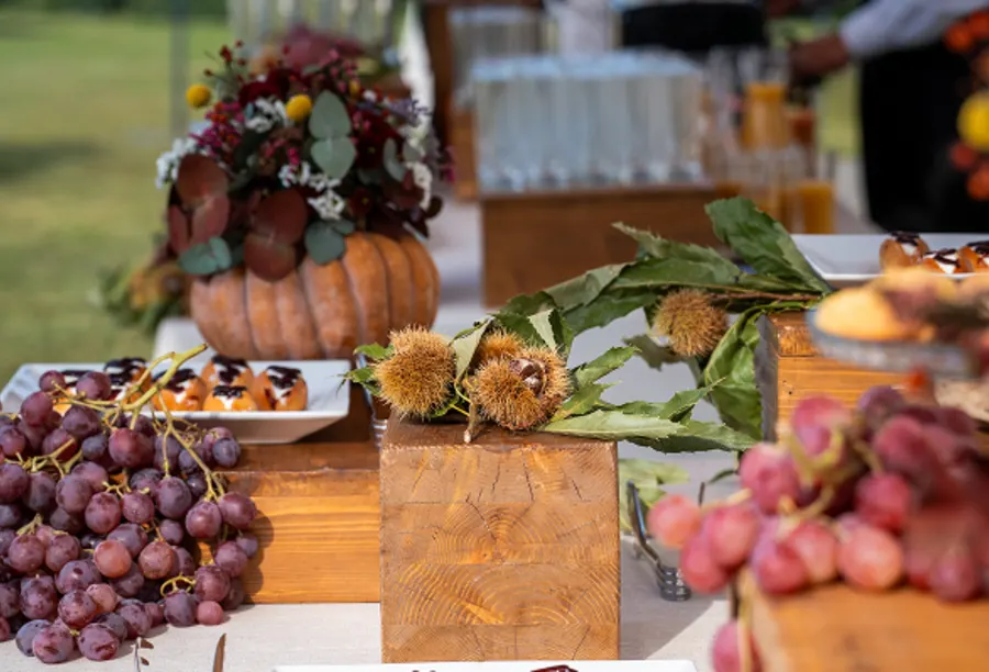 Food Experience & Hospitality